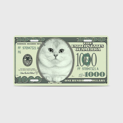 定制照片车牌-CPZ123