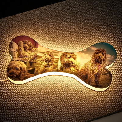 MM-骨头夜灯-B2BXHD4027