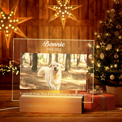 定制传图刻字亚克力夜灯XHD2863